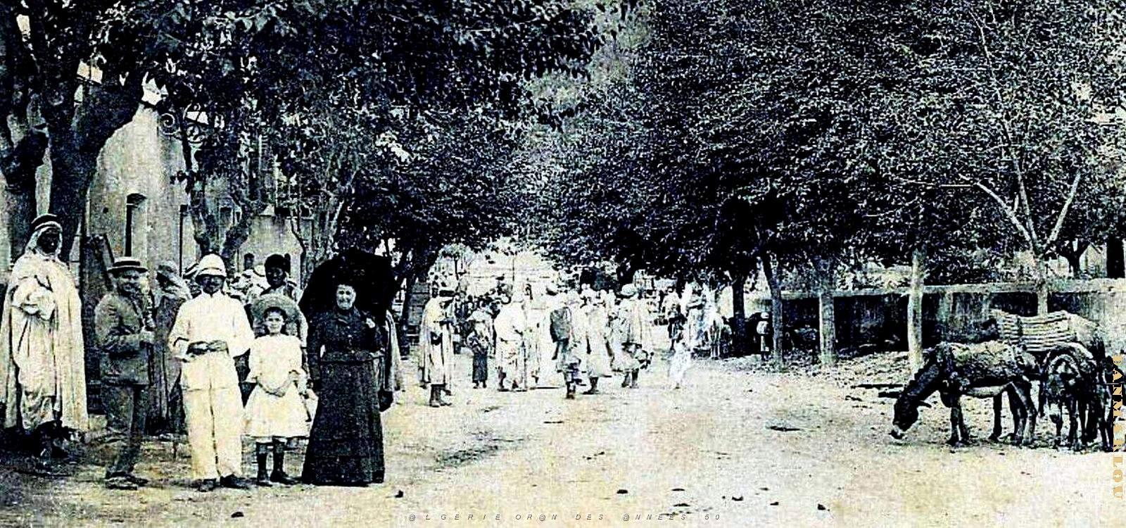 2396- Zemmorah - Avenue des Flittas2 - 1907.jpg